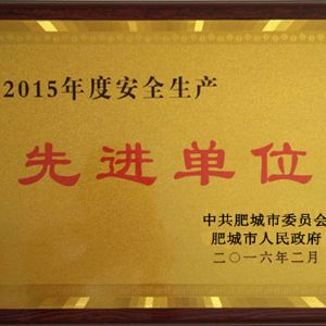 2015年度安全生產(chǎn)單位
