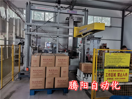全自動(dòng)碼垛機(jī)