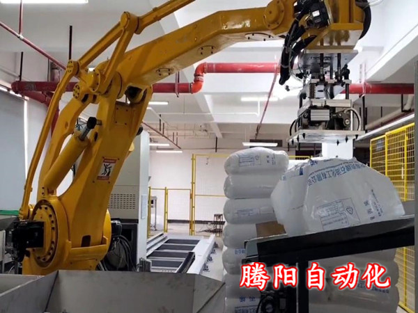 全自動(dòng)拆包機(jī)器人