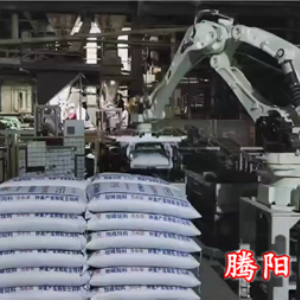 不用人工來回搬運(yùn)伸縮式輸送機(jī)和碼垛機(jī)器人完成卸車碼垛省去多個(gè)人工