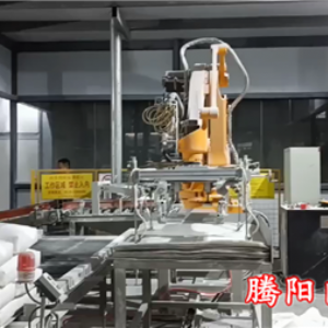 用一臺(tái)碼垛機(jī)器人自動(dòng)鋪托盤(pán)自動(dòng)碼垛