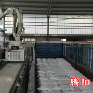 機(jī)械手裝車機(jī)適用于多種車型效率高