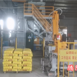 水泥砂漿雙線雙爪國(guó)產(chǎn)碼垛機(jī)器人