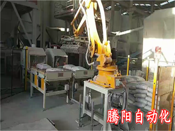 國產(chǎn)碼垛機器人化工產(chǎn)品雙線碼垛