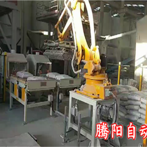 國產(chǎn)碼垛機器人化工產(chǎn)品雙線碼垛