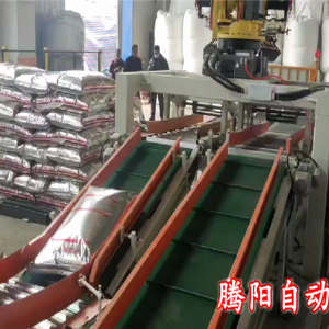 化肥碼垛機(jī)器人一臺機(jī)器負(fù)責(zé)雙線碼垛工作