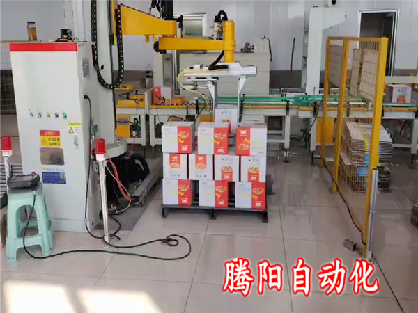 箱裝食品立柱碼垛機(jī)器人