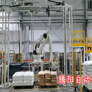 拆包投料機(jī)械手一臺(tái)機(jī)器可以拆兩種產(chǎn)品