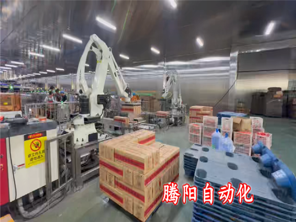 箱裝食品碼垛機器人